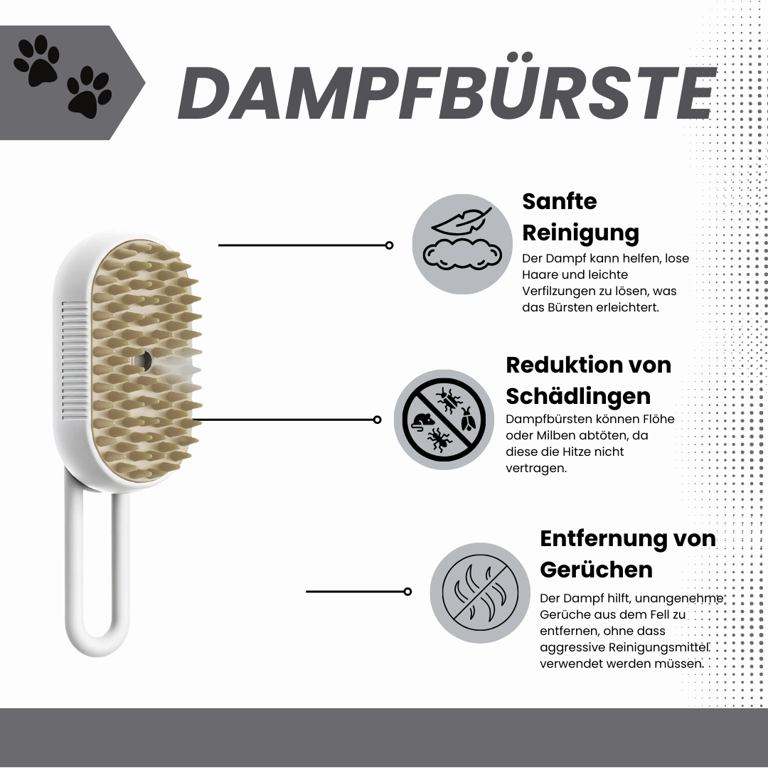 Dampf Bürste